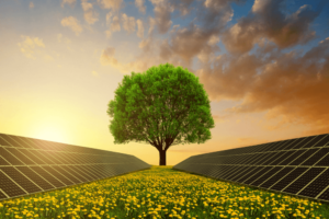 Solar Energy in Ahmedabad Made Easy